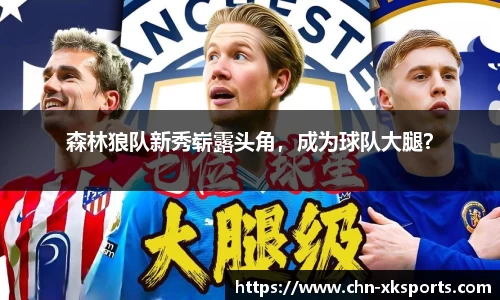 森林狼队新秀崭露头角,成为球队大腿?