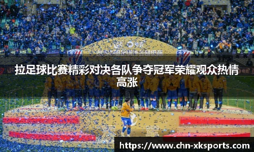 拉足球比赛精彩对决各队争夺冠军荣耀观众热情高涨