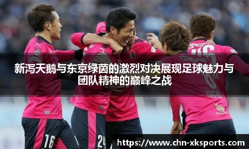 新泻天鹅与东京绿茵的激烈对决展现足球魅力与团队精神的巅峰之战